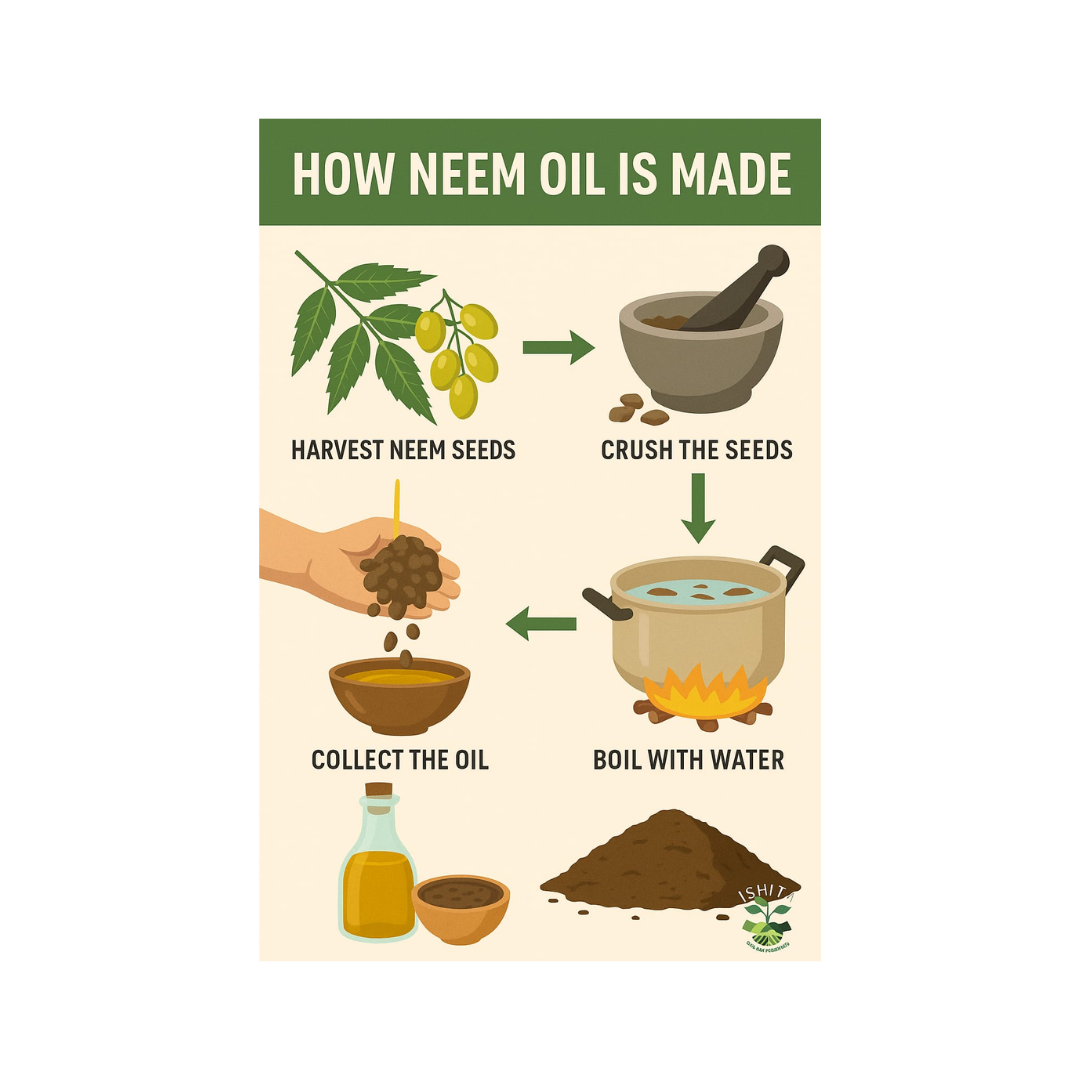 Neem Oil