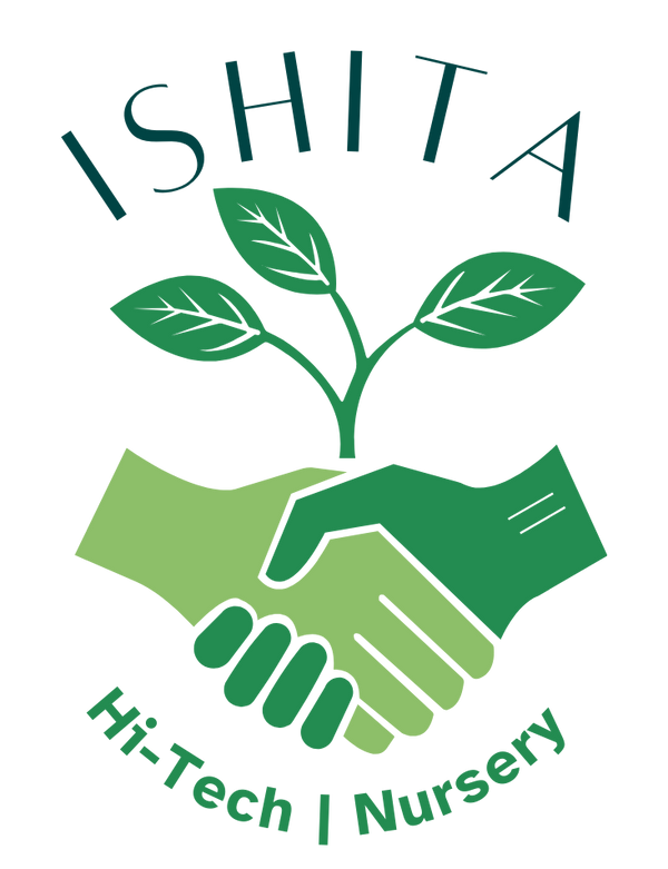 Ishita Hi-Tech Nursery