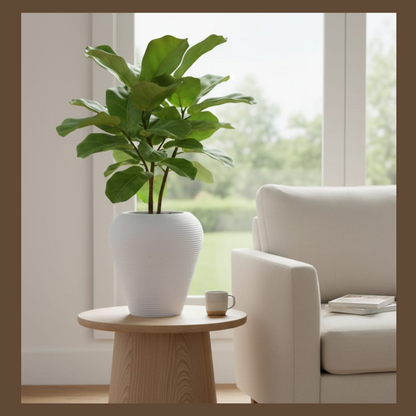 FRB Planters