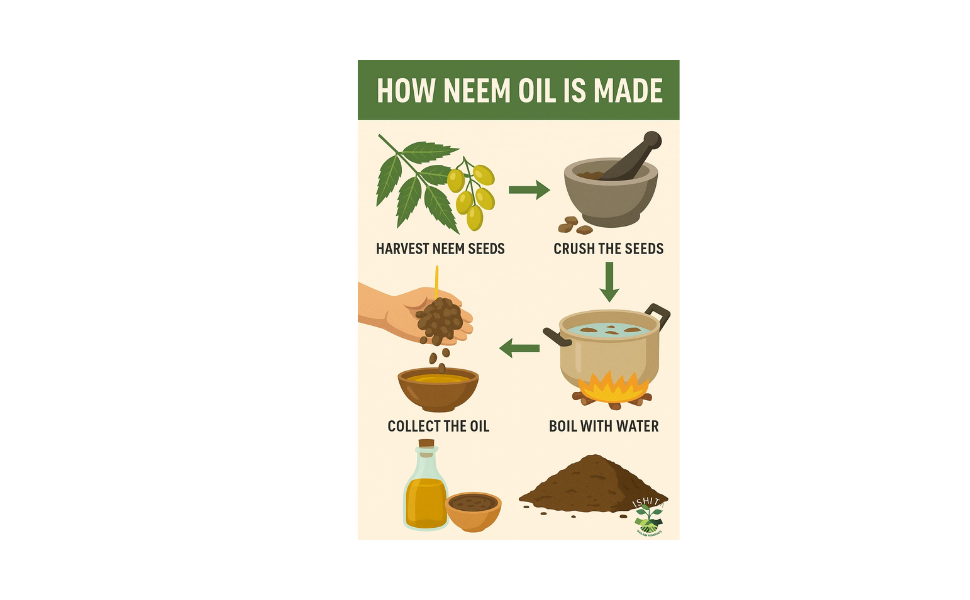 Neem Oil