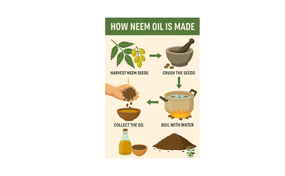 Neem Oil