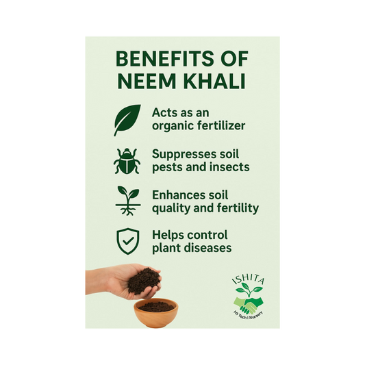 Neem Khali  (Neem Cake Powder)
