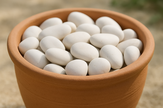 white pebbles in pot